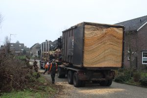 Hout versnipperen